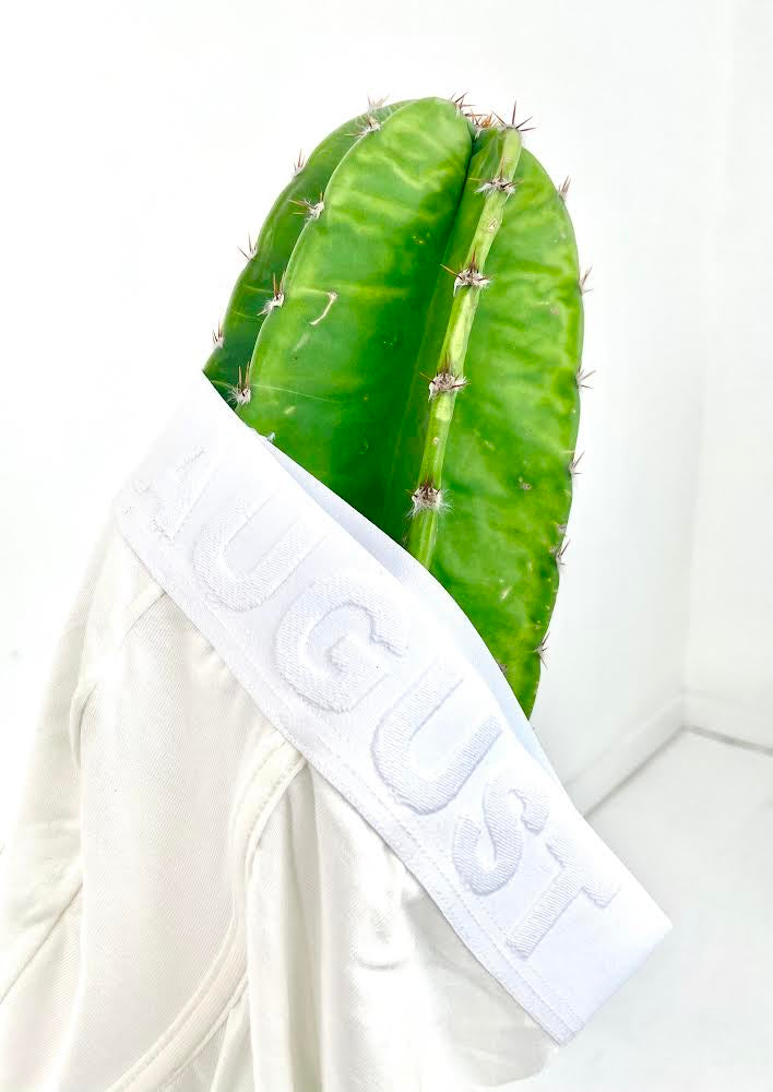 moisture wicking underwear, organic brief, creme